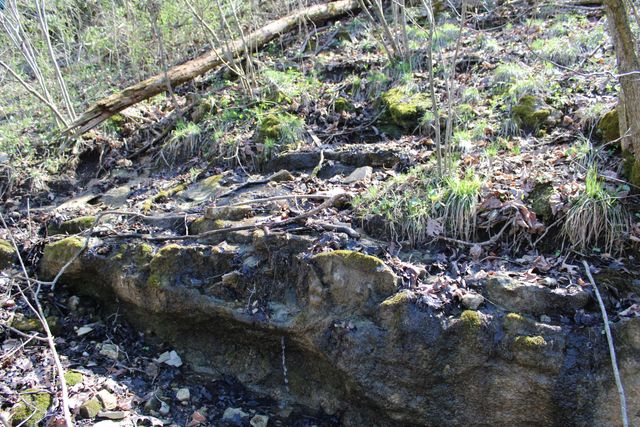 2240 Mease Drive, Reeds Spring, MO 65737