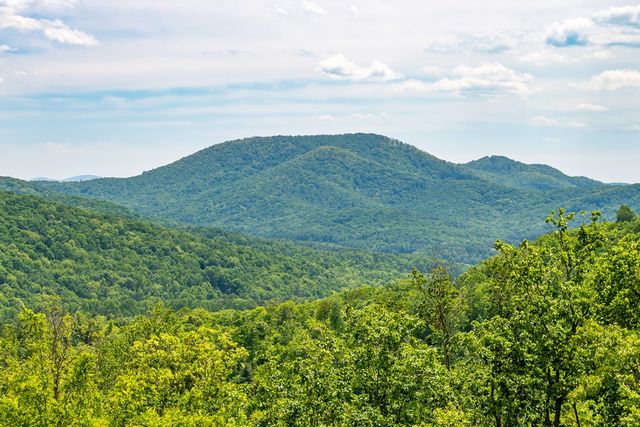 93 Stanley Ridge Drive, Morganton, GA 30560