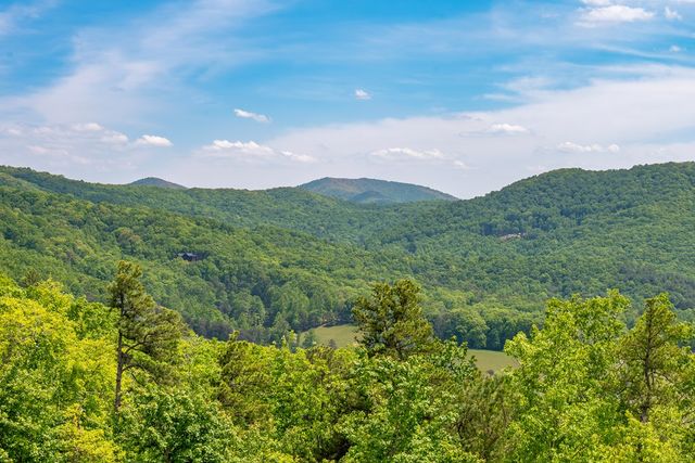 93 Stanley Ridge Drive, Morganton, GA 30560