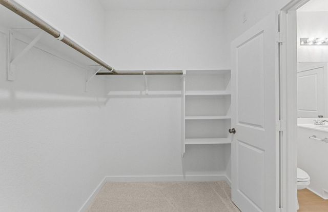 1513 Sky Vista Drive, Belton, TX 76513