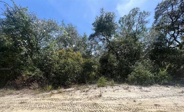 TBD NE 239TH PLACE, Fort Mc Coy, FL 32134