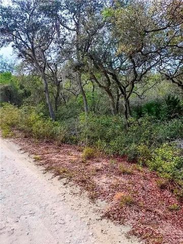 TBD NE 239TH PLACE, Fort Mc Coy, FL 32134