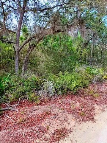 TBD NE 239TH PLACE, Fort Mc Coy, FL 32134