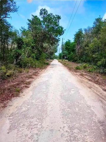 TBD NE 239TH PLACE, Fort Mc Coy, FL 32134