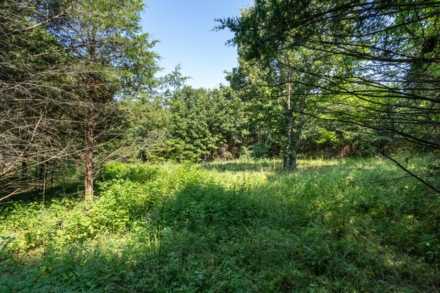000 Beulah Creek Drive Lot 1, Marshfield, MO 65706