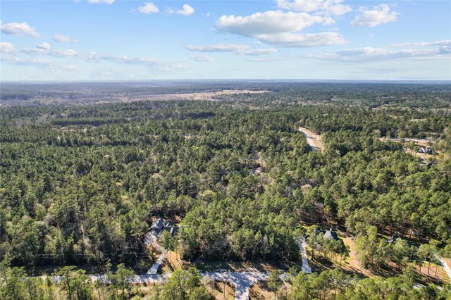 160 Brahman Lane, New Waverly, TX 77358