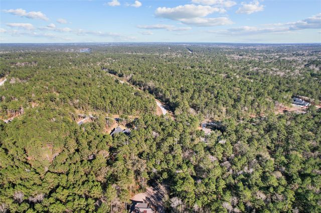 160 Brahman Lane, New Waverly, TX 77358