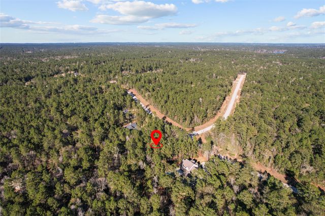 160 Brahman Lane, New Waverly, TX 77358