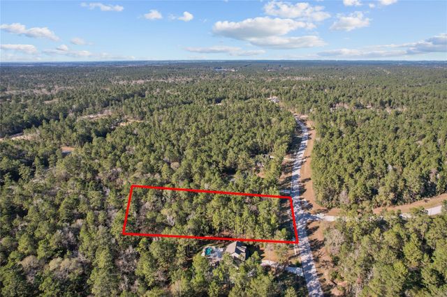 160 Brahman Lane, New Waverly, TX 77358