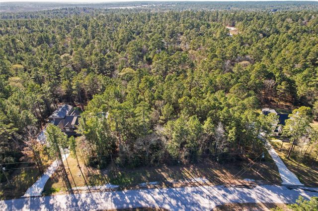 160 Brahman Lane, New Waverly, TX 77358