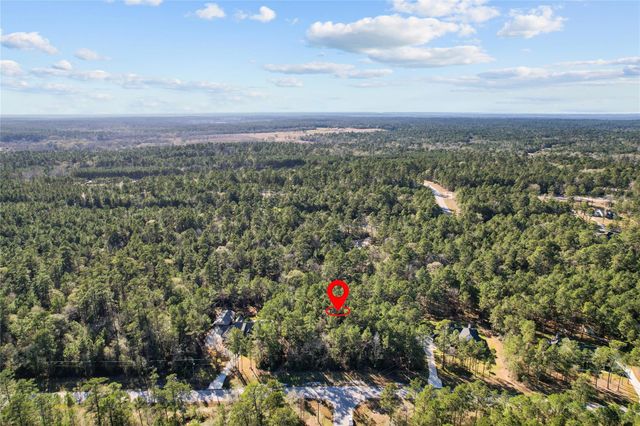 160 Brahman Lane, New Waverly, TX 77358