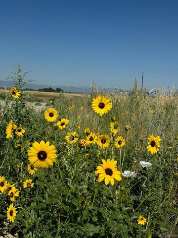 12441 Tower Road, Commerce City, CO 80022