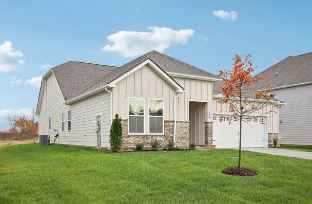 133 Emeline Way, Mount Juliet, TN 37122