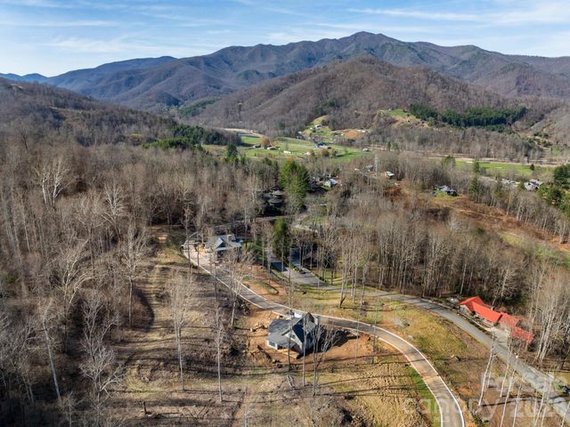 100 Bear Tree Cove, Canton, NC 28716