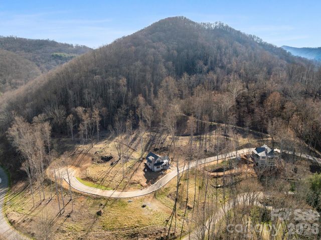100 Bear Tree Cove, Canton, NC 28716