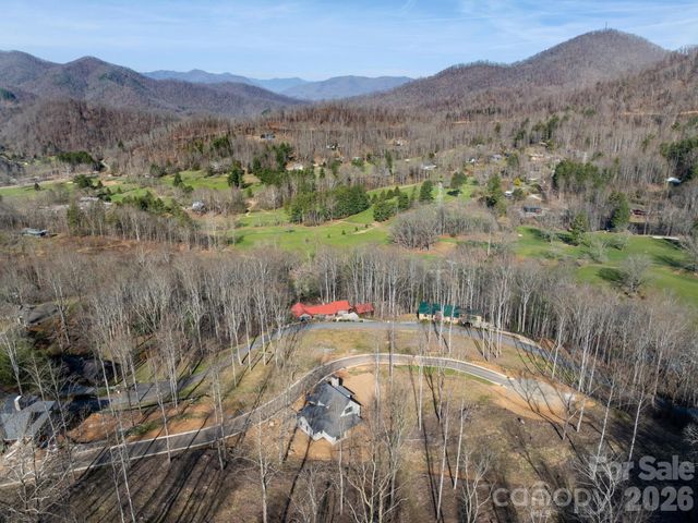 100 Bear Tree Cove, Canton, NC 28716