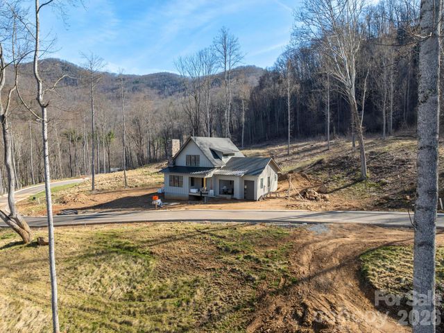 100 Bear Tree Cove, Canton, NC 28716