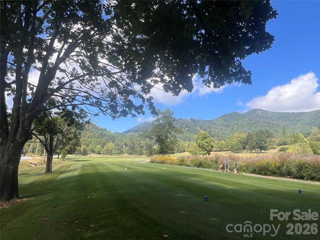 100 Bear Tree Cove, Canton, NC 28716