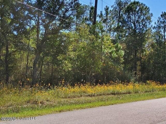 Lots 2-3 Tigris Street, Bay Saint Louis, MS 39520