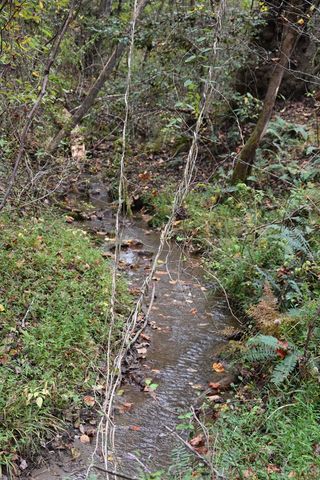 361 River Cove, Hayesville, NC 28904