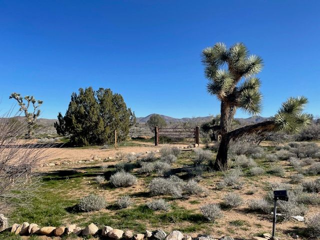 21422 S Appaloosa Road, Yucca, AZ 86438