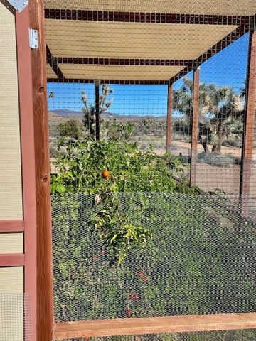 21422 S Appaloosa Road, Yucca, AZ 86438