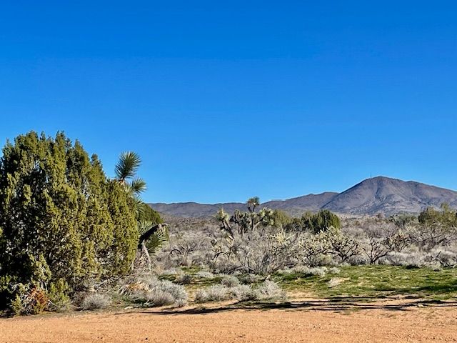 21422 S Appaloosa Road, Yucca, AZ 86438