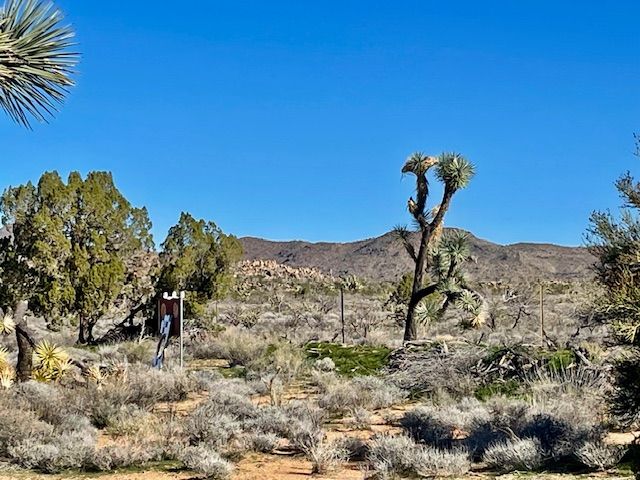 21422 S Appaloosa Road, Yucca, AZ 86438