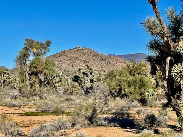 21422 S Appaloosa Road, Yucca, AZ 86438