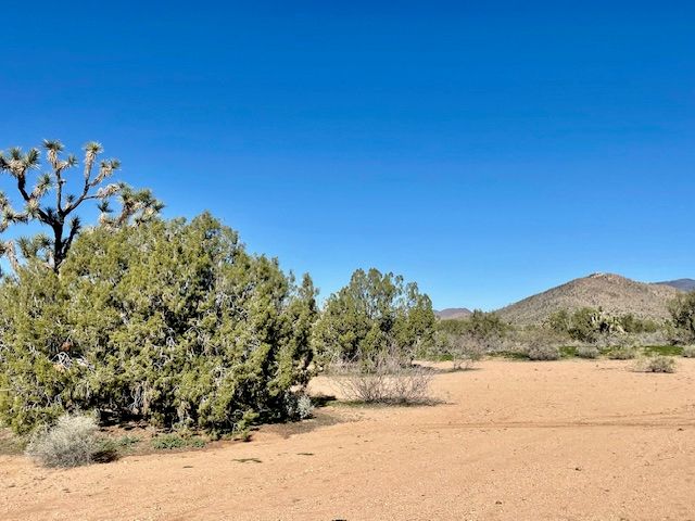 21422 S Appaloosa Road, Yucca, AZ 86438