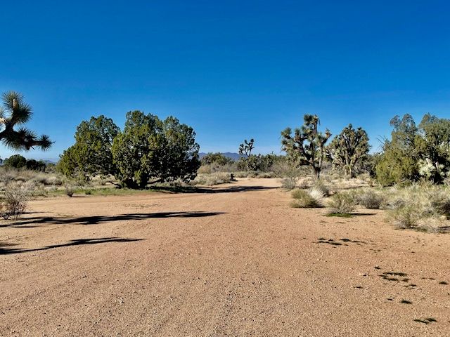 21422 S Appaloosa Road, Yucca, AZ 86438
