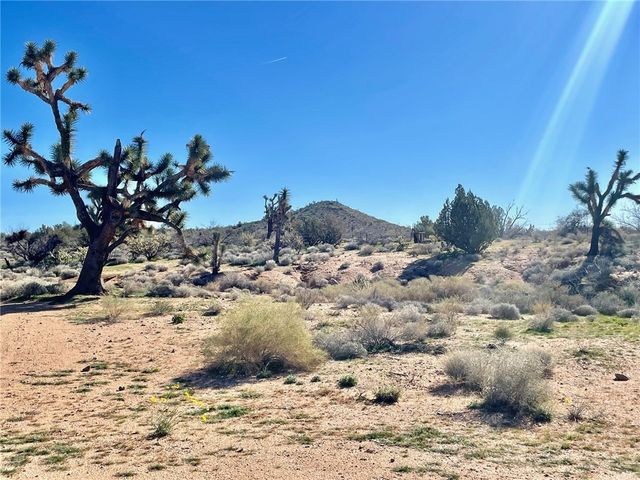 21422 S Appaloosa Road, Yucca, AZ 86438