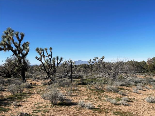 21422 S Appaloosa Road, Yucca, AZ 86438
