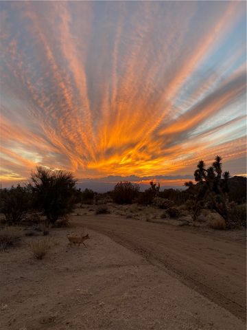 21422 S Appaloosa Road, Yucca, AZ 86438