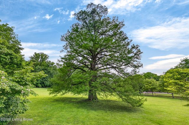 115 Tuliphurst Dr, Pewee Valley, KY 40056