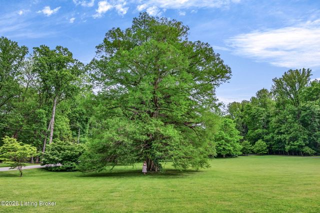 115 Tuliphurst Dr, Pewee Valley, KY 40056