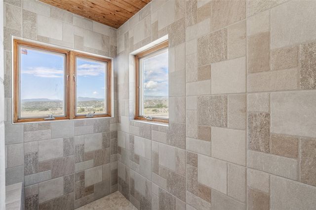 91 Private Drive 1613 B, Medanales, NM 87548