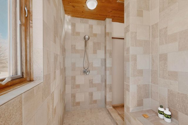 91 Private Drive 1613 B, Medanales, NM 87548