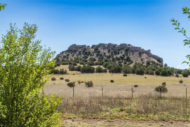 91 Private Drive 1613 B, Medanales, NM 87548