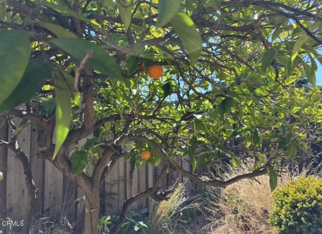 692 Mccarty Avenue, Mountain View, CA 94041