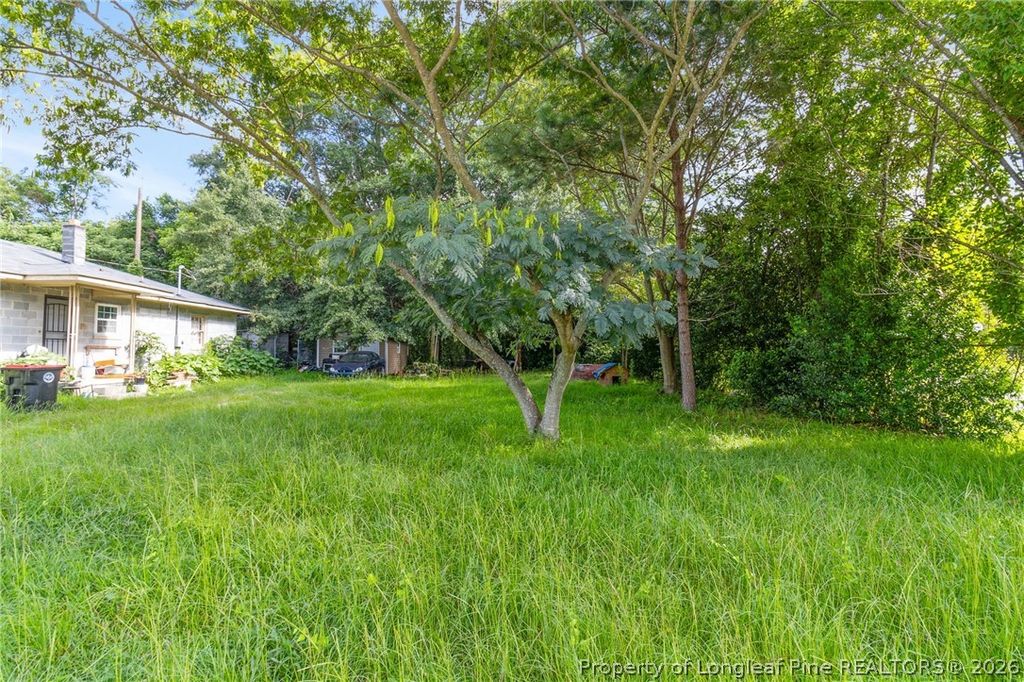 223 6th Avenue E, Red Springs, NC 28377 — photo 2