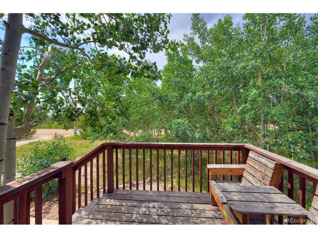 269 High Creek Rd, Fairplay, CO 80440