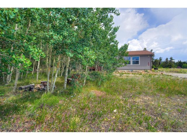 269 High Creek Rd, Fairplay, CO 80440