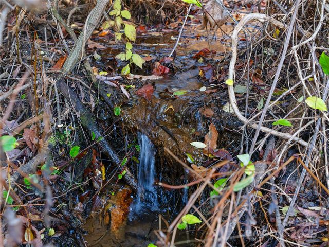 321 Lyle Lane, Green Mountain, NC 28740