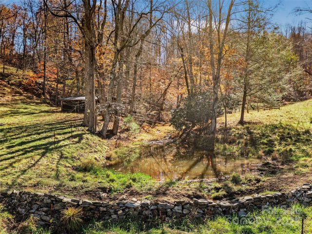 321 Lyle Lane, Green Mountain, NC 28740