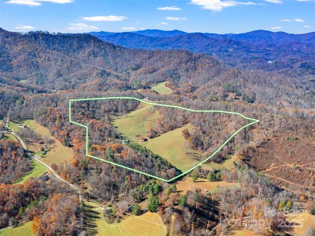 321 Lyle Lane, Green Mountain, NC 28740