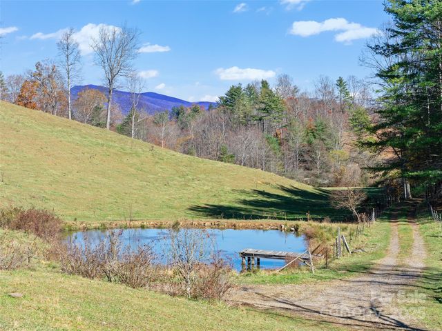 321 Lyle Lane, Green Mountain, NC 28740