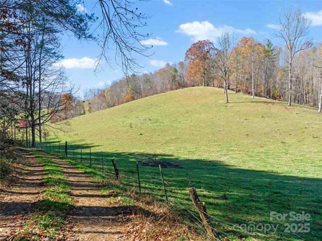 321 Lyle Lane, Green Mountain, NC 28740