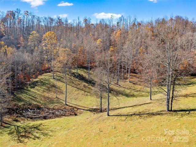321 Lyle Lane, Green Mountain, NC 28740