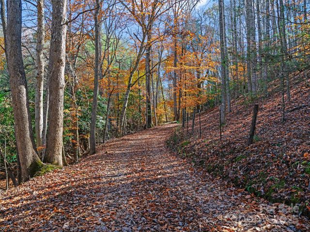 321 Lyle Lane, Green Mountain, NC 28740